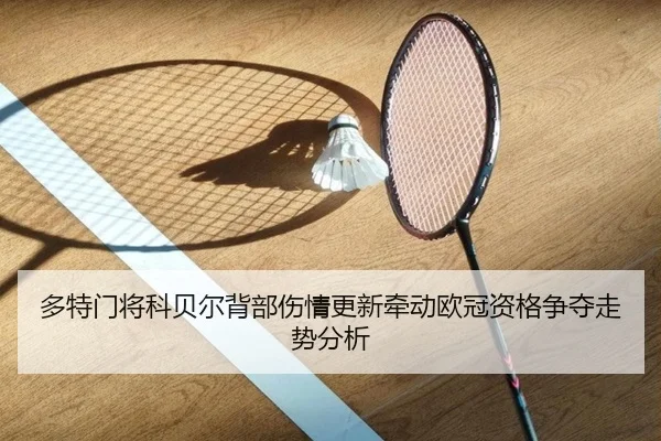 多特门将科贝尔背部伤情更新牵动欧冠资格争夺走势分析
